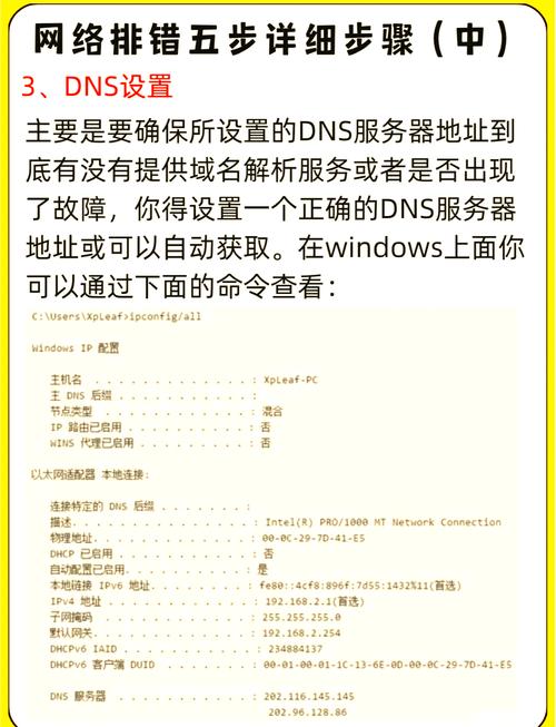 android兼容性_2025年安卓系统兼容答疑：tp应用闪退与5G网络连接问题解析！_安卓app兼容性解决方法