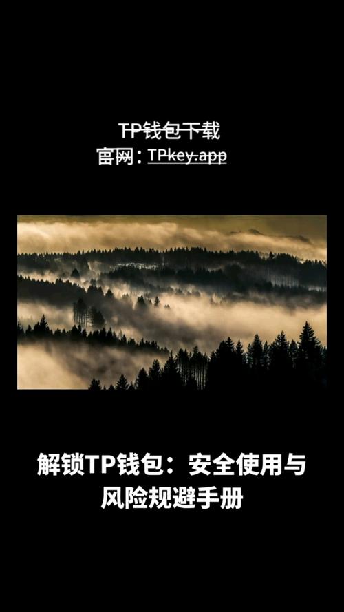 TP官网获取官方软件保隐私，下载安装及使用要谨慎